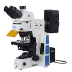 Research Biological Microscope LB-12RBM